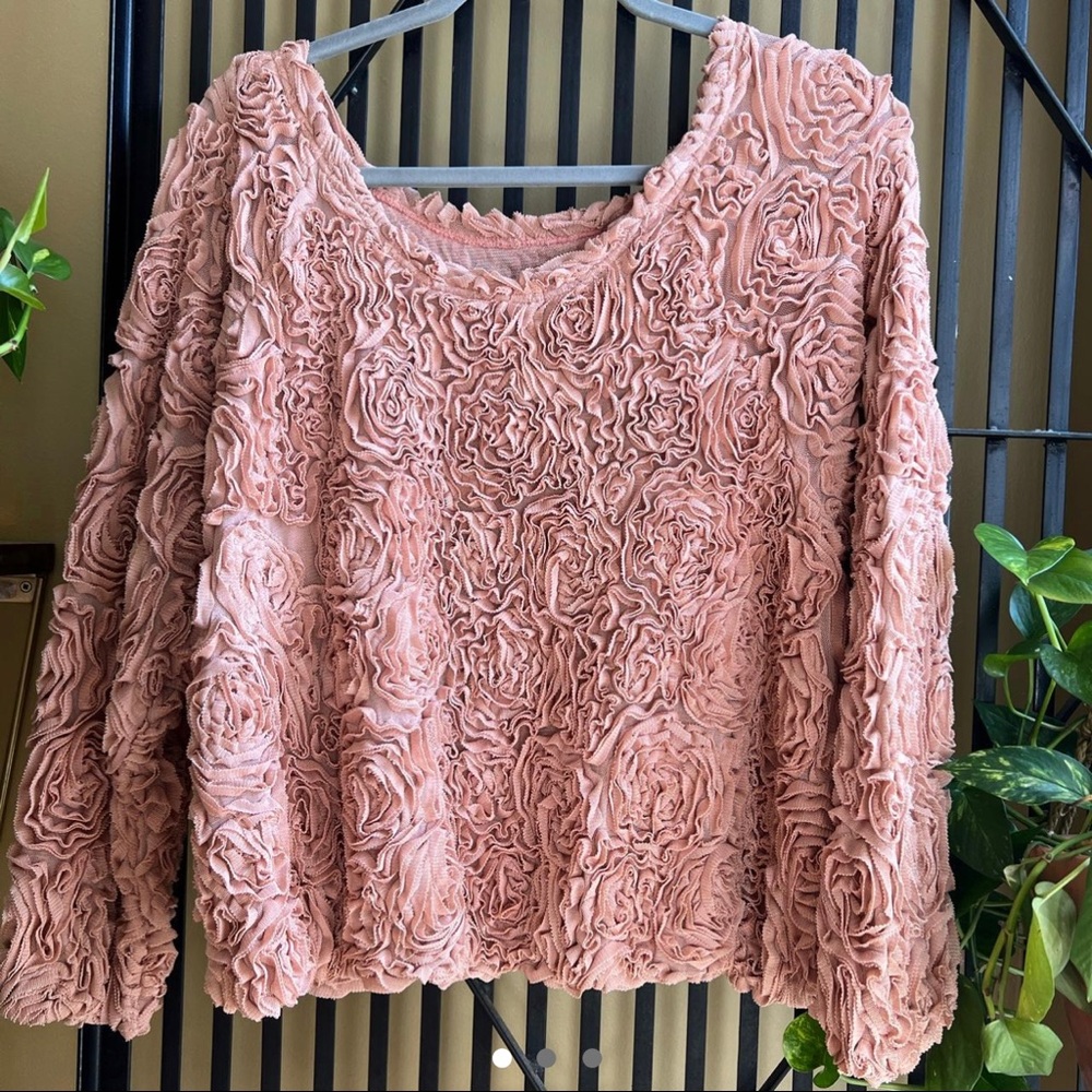 American Apparel Rose Mesh Jumper